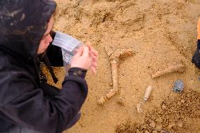 Archaeologists Discover New Bones - Waterloo