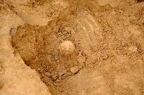 Archaeologists Discover New Bones - Waterloo