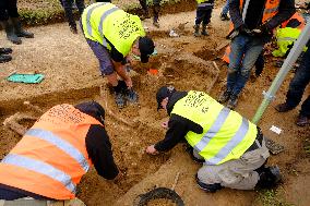 Archaeologists Discover New Bones - Waterloo