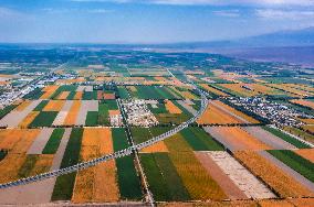 Agricultural Comprehensive Development Zone in Karamay