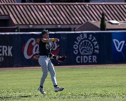 The Yolo High Wheelers (14) Beat The Oakland Ballers (4) In Pioneer Baseball League's Playoffs