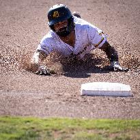 The Yolo High Wheelers (14) Beat The Oakland Ballers (4) In Pioneer Baseball League's Playoffs