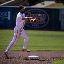 The Yolo High Wheelers (14) Beat The Oakland Ballers (4) In Pioneer Baseball League's Playoffs