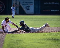 The Yolo High Wheelers (14) Beat The Oakland Ballers (4) In Pioneer Baseball League's Playoffs