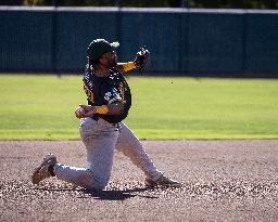 The Yolo High Wheelers (14) Beat The Oakland Ballers (4) In Pioneer Baseball League's Playoffs