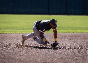 The Yolo High Wheelers (14) Beat The Oakland Ballers (4) In Pioneer Baseball League's Playoffs