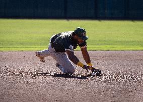 The Yolo High Wheelers (14) Beat The Oakland Ballers (4) In Pioneer Baseball League's Playoffs