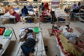 Dengue Patients In Dhaka, Bangladesh