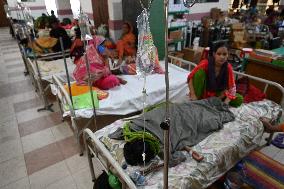 Dengue Patients In Dhaka, Bangladesh