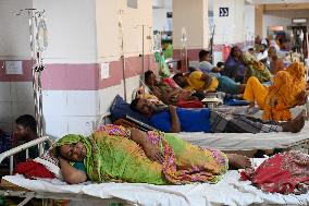 Dengue Patients In Dhaka, Bangladesh