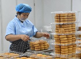 Mid-Autumn Festival Mooncakes