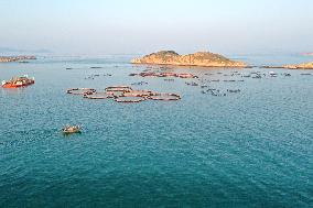 A Breeding Area at A Marine Ranch in Fuzhou