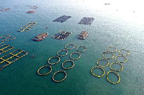 A Breeding Area at A Marine Ranch in Fuzhou