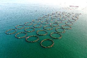 A Breeding Area at A Marine Ranch in Fuzhou