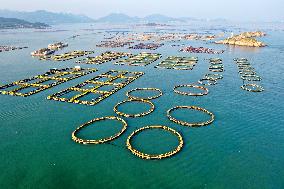 A Breeding Area at A Marine Ranch in Fuzhou