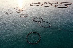 A Breeding Area at A Marine Ranch in Fuzhou