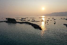 A Breeding Area at A Marine Ranch in Fuzhou