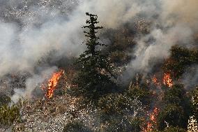 Bridge Fire Rages In LA County - California