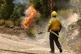 Bridge Fire Rages In LA County - California