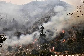 Bridge Fire Rages In LA County - California