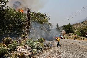 Bridge Fire Rages In LA County - California