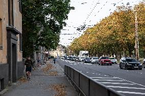 Traffic jam caused by a cycle lane