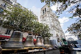 Eight Bells Return To Belfry Of Notre Dame - Paris