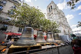 Eight Bells Return To Belfry Of Notre Dame - Paris