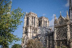 Illustration Notre Dame de Paris - Paris