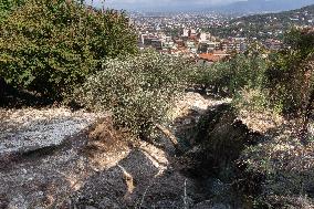 Bad Weather, Mudslide In Gragnano.