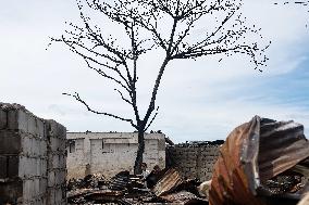 Huge Fire In Philippines Engulfed Nearly 800 Homes, Displacing Families