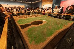 Mawangdui Han Dynasty Tomb Exhibition at Hunan Museum