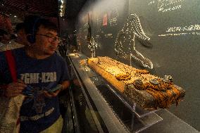 Mawangdui Han Dynasty Tomb Exhibition at Hunan Museum