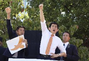 Japan LDP leadership election