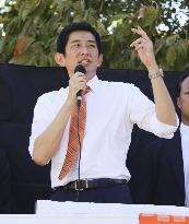 Japan LDP leadership election