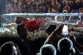 Ceremony To Receive The Body Of Cardinal Aghajanian - Beirut