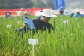 Seed Inspection in Hangzhou