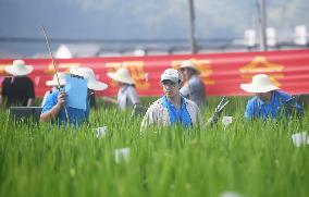 Seed Inspection in Hangzhou