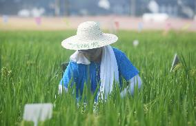 Seed Inspection in Hangzhou