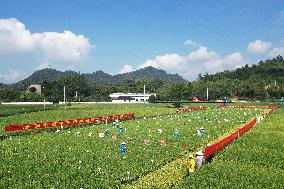 Seed Inspection in Hangzhou