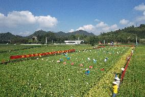 Seed Inspection in Hangzhou