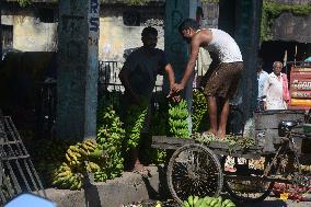 Wholesale Fruit Market