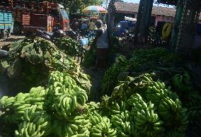 Wholesale Fruit Market