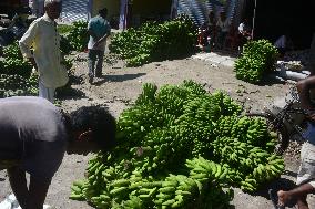 Wholesale Fruit Market