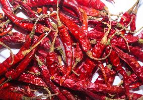 Capsicum Annuum - Dried Hot Peppers