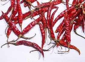 Capsicum Annuum - Dried Hot Peppers