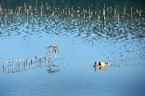 Fishing Scenery