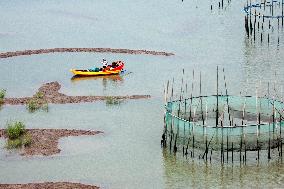 Fishing Scenery