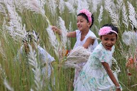 People Visit In Catkin Field In Bangladesh