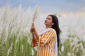 People Visit In Catkin Field In Bangladesh